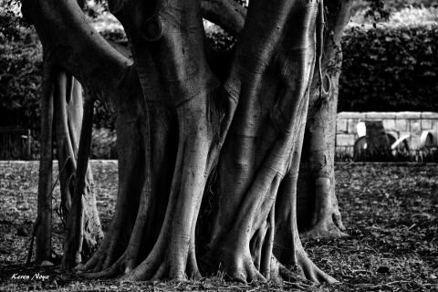 Noya Keren (Лагутина Екатерина). Wooden hands
